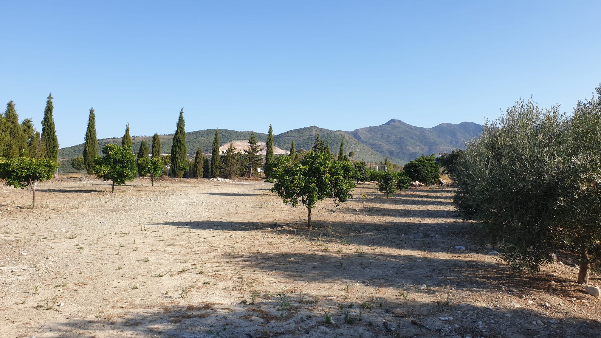 Swimming pool area with sunset views over Andalucían countryside at Finca El Aljibe
