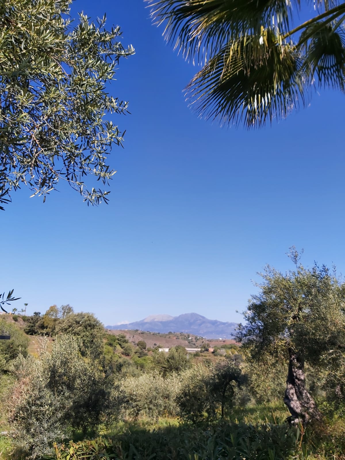 Villa entrance with automatic gates and paved driveway at country estate near Marbella