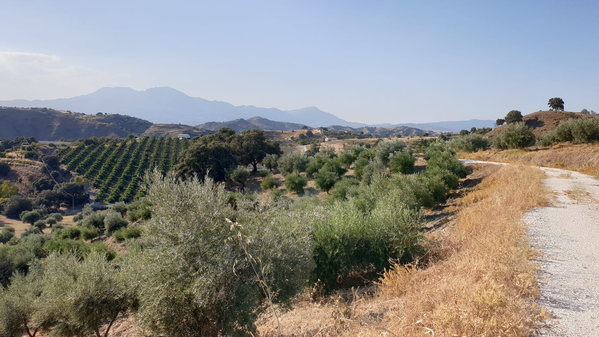 Fibre optic broadband infrastructure ideal for remote work at rural finca Spain