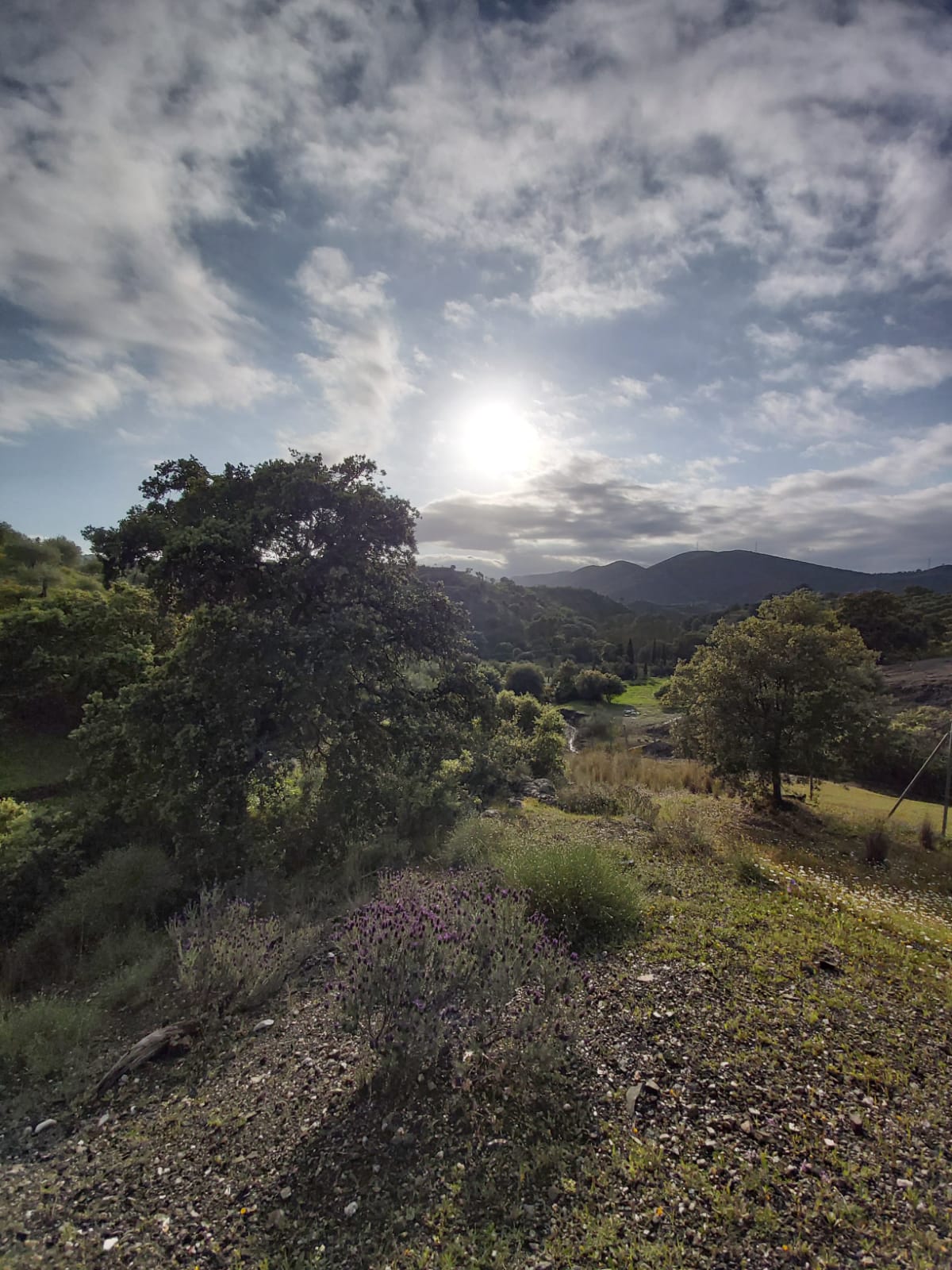 Idyllic private setting surrounded by nature at luxury finca Andalucía