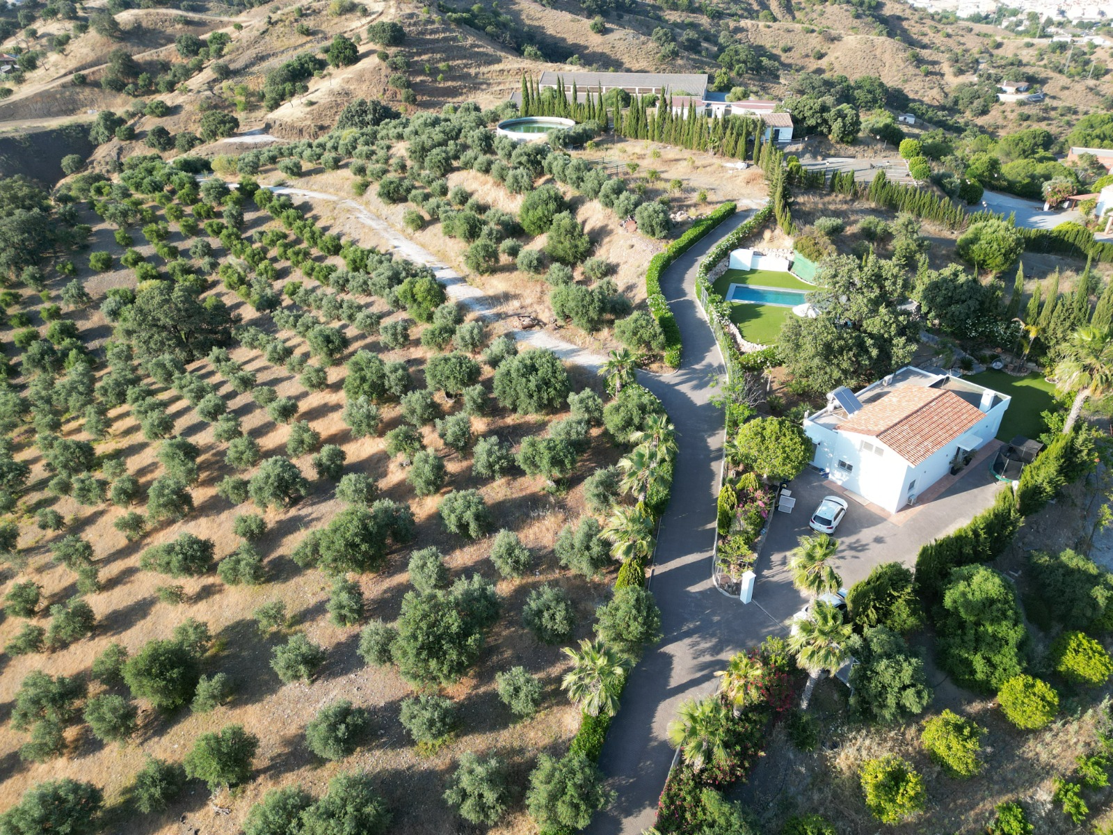 New aerial view of Finca El Aljibe villa, pool, driveway, and surrounding olive grove
